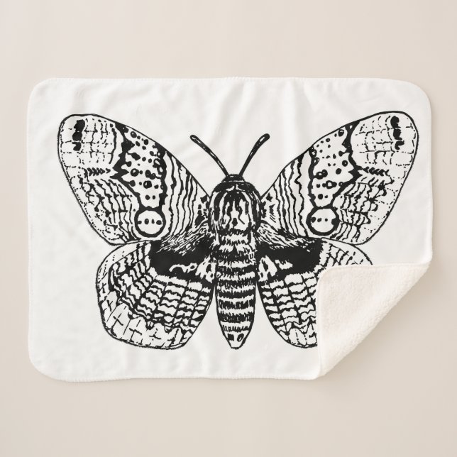 Zeichnend Brahmanmotte Sherpadecke (Vorderseite (Horizontal))