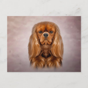 Zeichnend Dog Cavalier King Charles Spaniel Postkarte