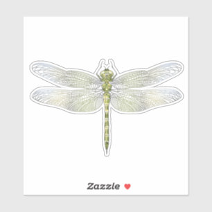 Zeichnend Elegante Dragonfly Aufkleber