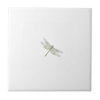 Zeichnend Elegante Dragonfly Fliese