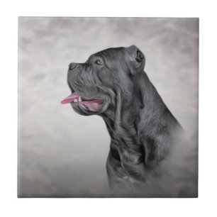 Zeichnend Hund Cane Corso - Italienischer Mastiff Fliese