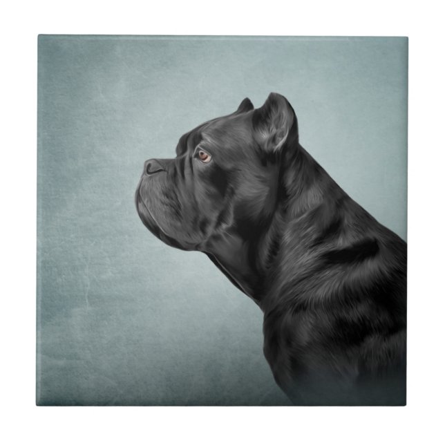 Zeichnend Hund Cane Corso - Italienischer Mastiff Fliese (Vorderseite)