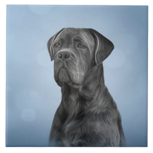 Zeichnend Hund Cane Corso - Italienischer Mastiff Fliese