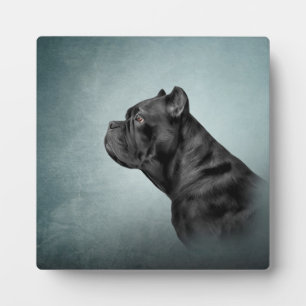 Zeichnend Hund Cane Corso - Italienischer Mastiff Fotoplatte