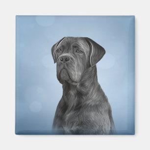 Zeichnend Hund Cane Corso - Italienischer Mastiff Magnet