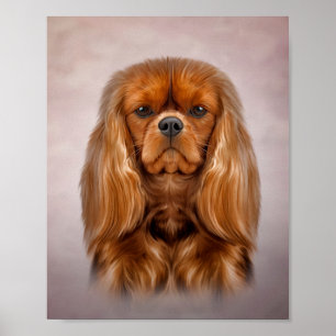 Zeichnend Hund Cavalier King Charles Spaniel Poster