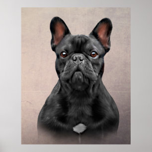 Zeichnend Hund Französischer Bulldog Poster