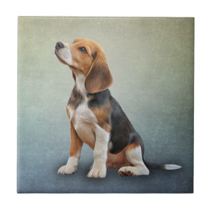 Zeichnend Hunde Beagle 7 Fliese