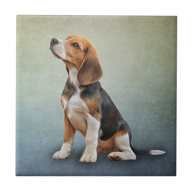 Zeichnend Hunde Beagle 7 Fliese (Vorderseite)