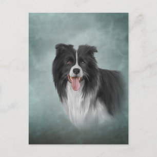 Zeichnend Hunderasse Border Collie Postkarte