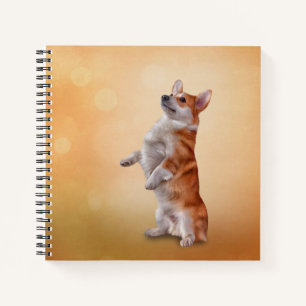 Zeichnend Hunderasse Welsh Corgi Notizbuch