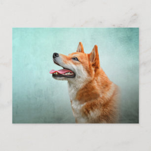 Zeichnend japanischer Shiba Inu Hund Postkarte