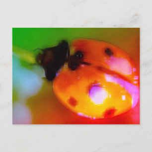 Zeichnend Ladybug Postkarte