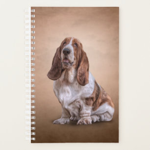 Zeichnend lustiger Basset Hound Hund Planer