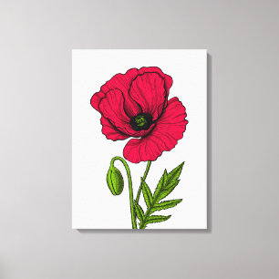 Zeichnend Mohn Leinwanddruck