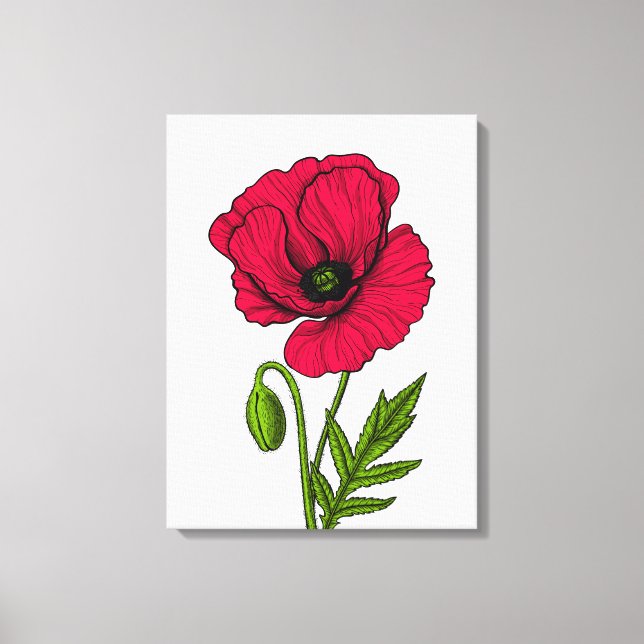 Zeichnend Mohn Leinwanddruck (Vorderseite)