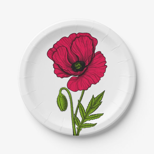 Zeichnend Mohn Pappteller (Vorderseite)