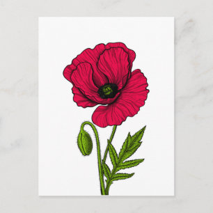 Zeichnend Mohn Postkarte