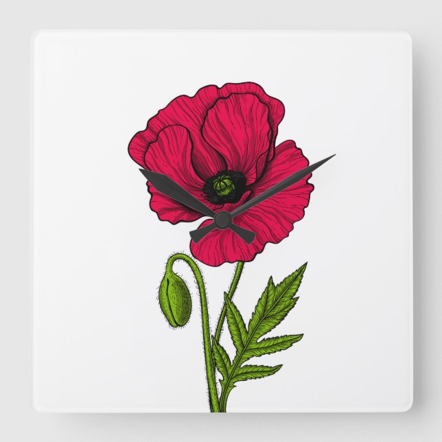Zeichnend Mohn Quadratische Wanduhr (Vorderseite)
