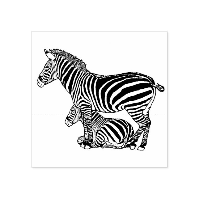 Zeichnend niedliche Zebra- und Foallinie Gummistempel (Prägung)