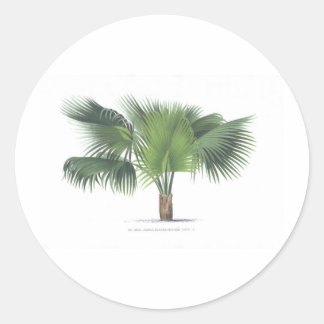 zeichnend Palme VII Runder Aufkleber