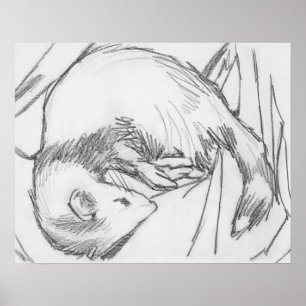 zeichnend Plakat "Streifen"