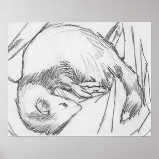 zeichnend Plakat "Streifen"