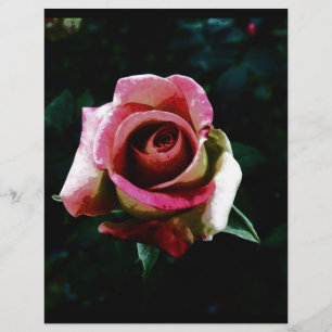 zeichnend Rose Flyer