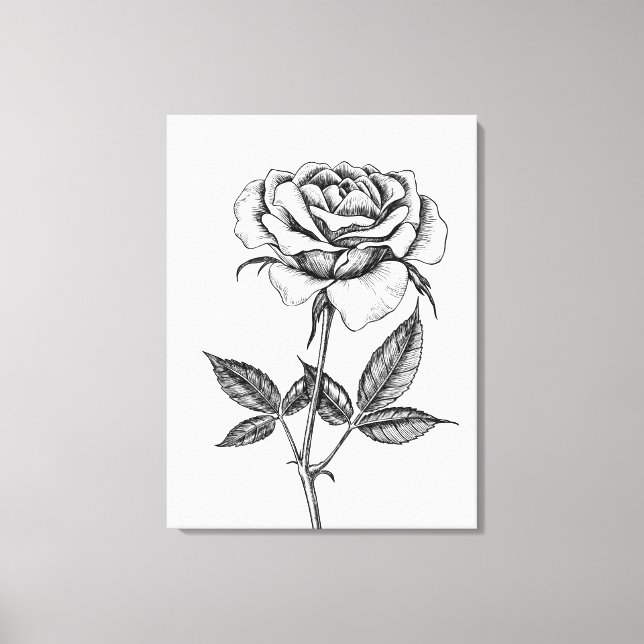 zeichnend Rose Leinwanddruck (Vorderseite)
