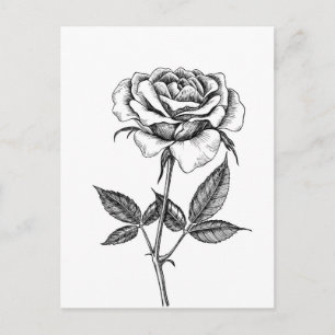 Zeichnend Rose Postkarte