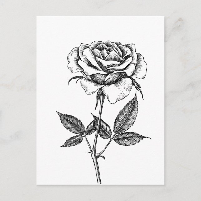 Zeichnend Rose Postkarte (Vorderseite)