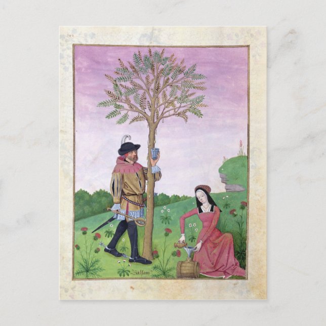 Zeichnend Saft aus einem Baum Postkarte (Vorderseite)