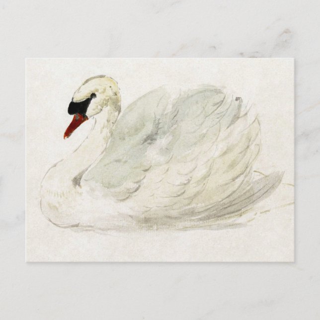 Zeichnend Schwan von Aert Schouman Postkarte (Vorderseite)