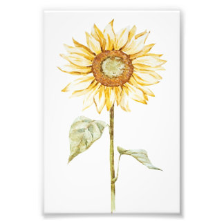 Zeichnend Sonnenblume - Vintages Sonnenschein Gebu Fotodruck