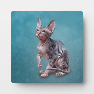 Zeichnend Sphynx-Kätzchen Fotoplatte