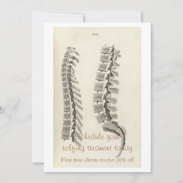 Zeichnend Vertebrae (Vorderseite)