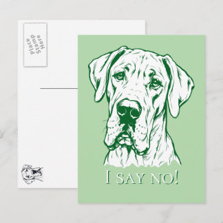 Zeichnung eines Great Danes Portrait Postkarte