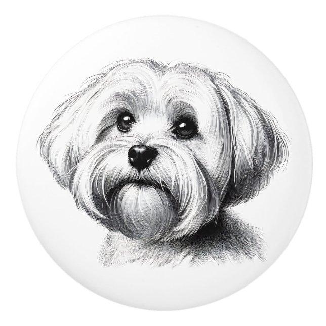 Zeichnung Malteser Hund Keramikknauf (Vorderseite)