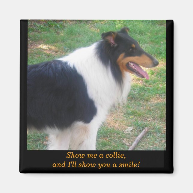 Zeig mir eine Collie... Magnet (Vorne)