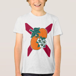 Zeige deine Farben - Florida Tri-Blend Shirt