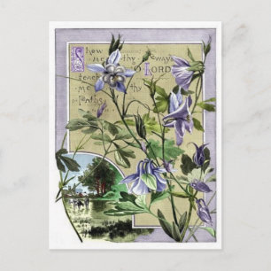 Zeige mir deinen Weg Postkarte