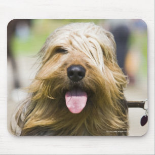 Zeigen der Zunge, langes Haar, Porträt Mousepad