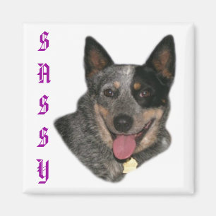 Zeigen Sie Ihren Stolz Magnet