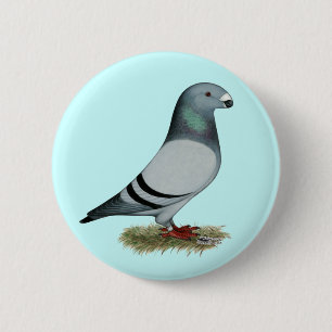 Zeigen Sie Rennläufer-Konzept Button