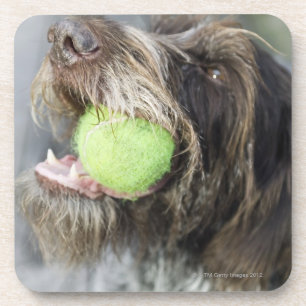 Zeigerhundebeißender Tennisball, Nahaufnahme Getränkeuntersetzer