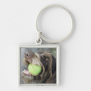 Zeigerhundebeißender Tennisball, Nahaufnahme Schlüsselanhänger