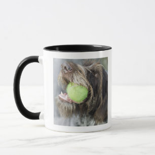 Zeigerhundebeißender Tennisball, Nahaufnahme Tasse
