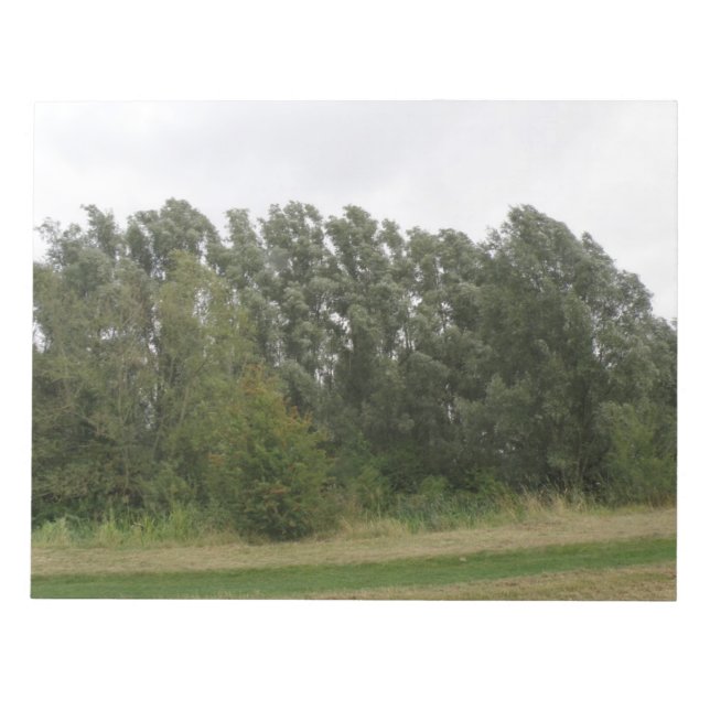 Zeile der Stützen Baumlandschaft Notepad Notizblock (Vorderseite)