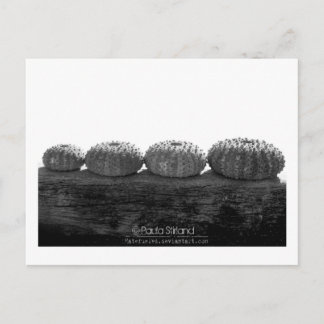 Zeile warten postkarte