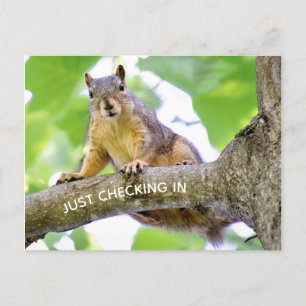 Zeit bis zum Karo auf der Postkarte